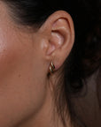 Honey Twist Earrings