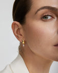 Gold Curved Teardrop Dangle Stud Earrings